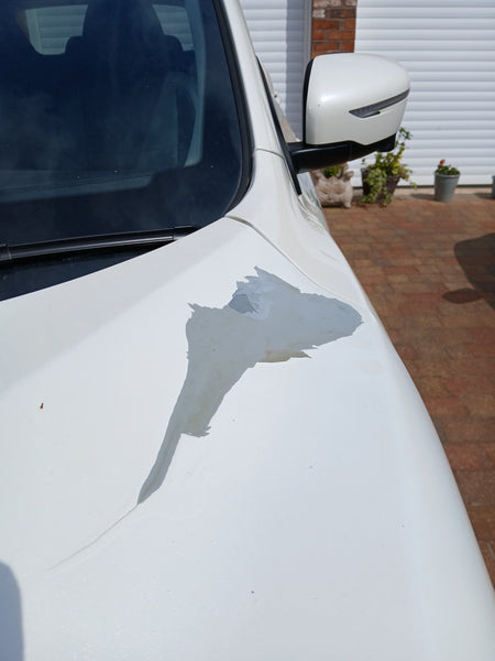 Nissan, QASHQAI, Tekna Hatchback, May 2014, Manual, 1.5 dci (cc), 5 doors Pearl White
